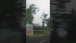 Conductor evita asalto en la carretera México-Cuernavaca #nmás #shorts