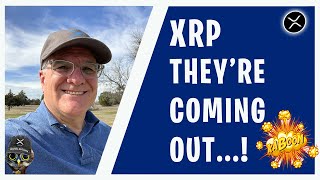 XRP Major Global Banks Reveal BILLIONS in XRP Holdings!