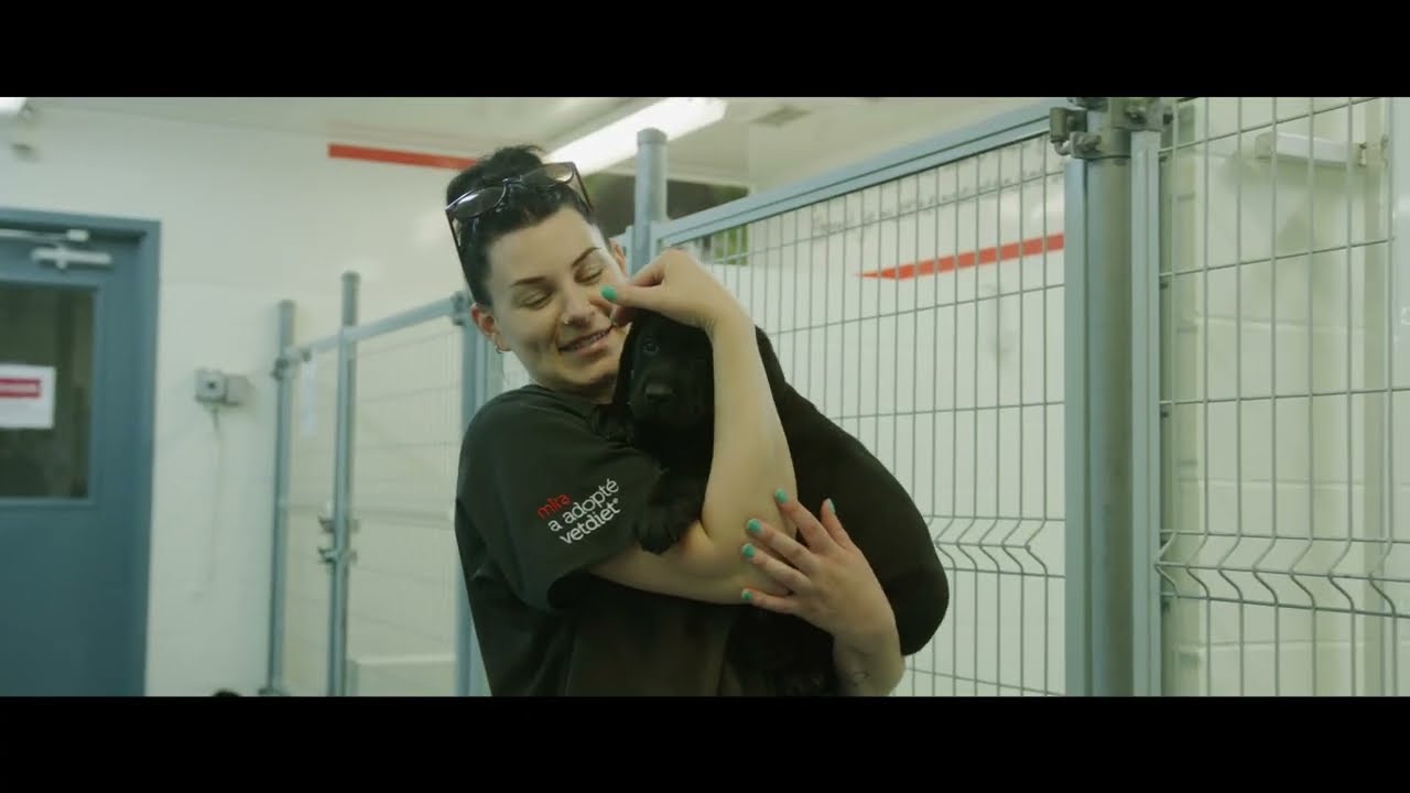 L'histoire d'un chien Mira