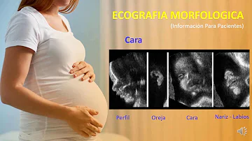 Quanto costa l'ecografia morfologica in ospedale?