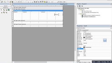Data Report and Data Environment in Vb6