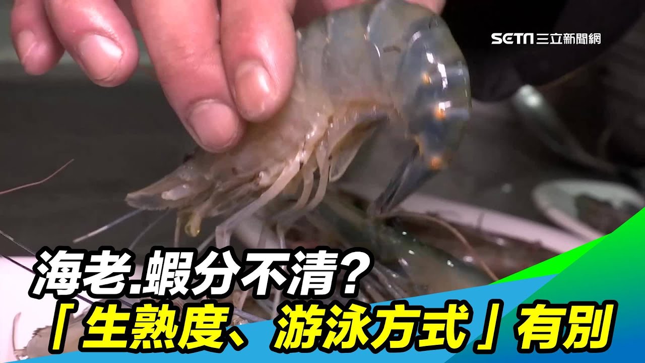 海老 蝦分不清 生熟度 游泳方式 有別 三立新聞台 Youtube