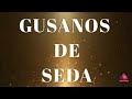 SEGUIMIENTO TANDA 1 Y TANDA 2, Y ELECCION DE LOS 2 GANADORES DEL SORTEO DE FEBRERO.