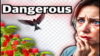 Please, Watch This BEFORE Using Bird Netting