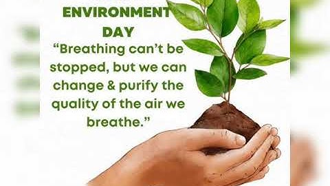 world Environment day//save life save tree//new whatsapp status save tree$save life 🙏🙏