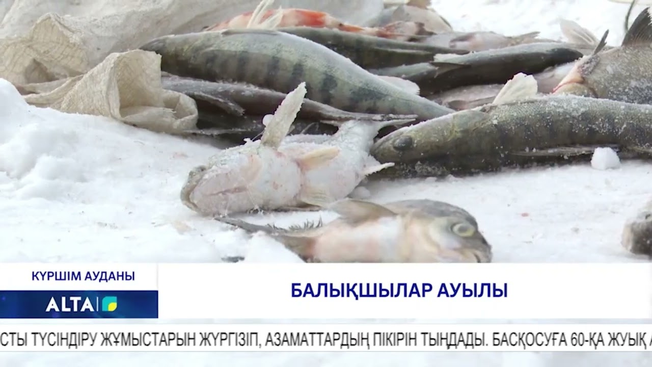 Балықшылар ауылы