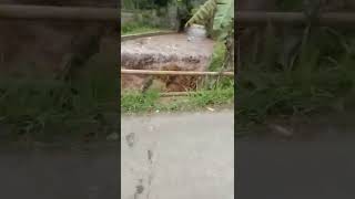 Terekam Kameradetik Detik Banjir Bandang Datang Tiba Tiba