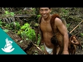 Children of the Jaguar - Now in Hight Quality! (Full Documentary)