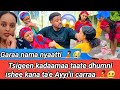 Intalli Tsigedhan Shaqaalanaanna Gibbii Kanaa Bahi Jetteen Giddi Irraa Qabanрџ рџ Intalli Tsigedhan Shaqaalanaanna Gibbii Kanaa Bahi Jetteen Giddi Irraa Qabanрџ рџ