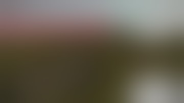 Rust - Bear Trap Trolling