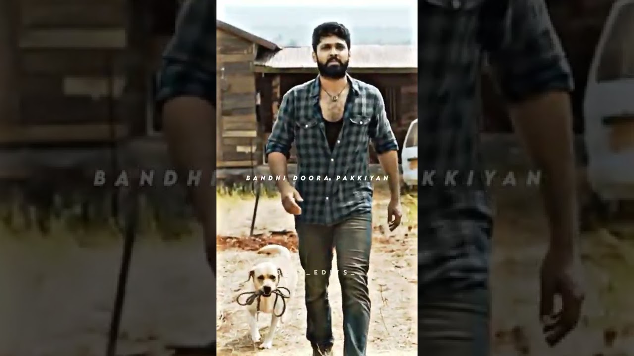 dog lover full screen whatsapp status 😍