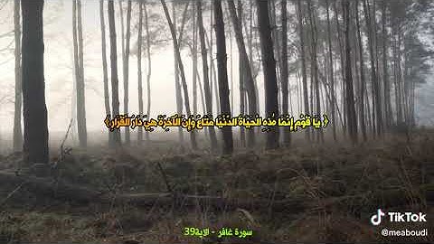 سورة غافر من الآية 38   الآية 40