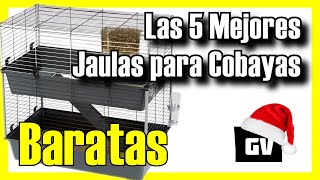 🐹🔥 Las 5 MEJORES Jaulas para Cobayas BARATAS de Amazon [2024]✅[Calidad/Precio] Ideales para Cuyos