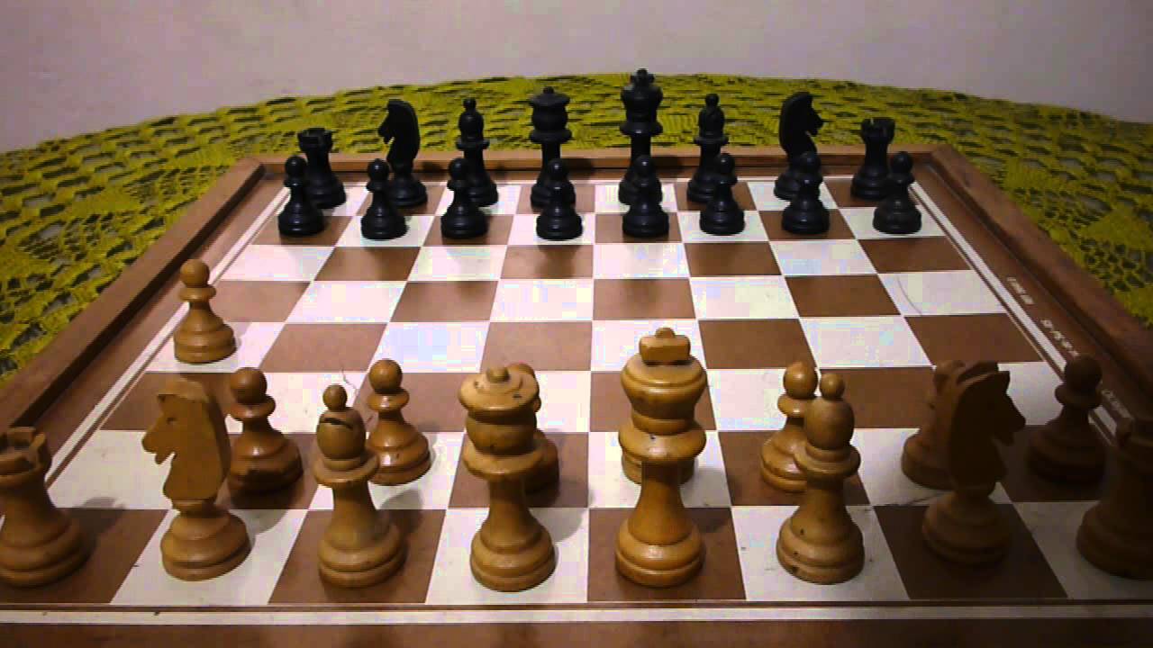 Quanto você sabe sobre jogadores de xadrez ?