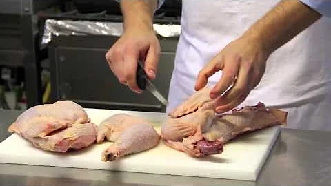 Quali sono le parti del pollo?