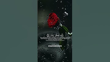 💛آيات من سورة المدثر :القارئ حمزة بوديب✨