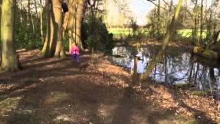 Arley Hall | Mini Travellers