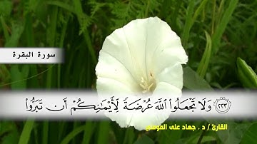 سورة البقرة من ( ايه 219 ) الى ( ايه 232 ) بصوت القارئ د.جهاد المومني
