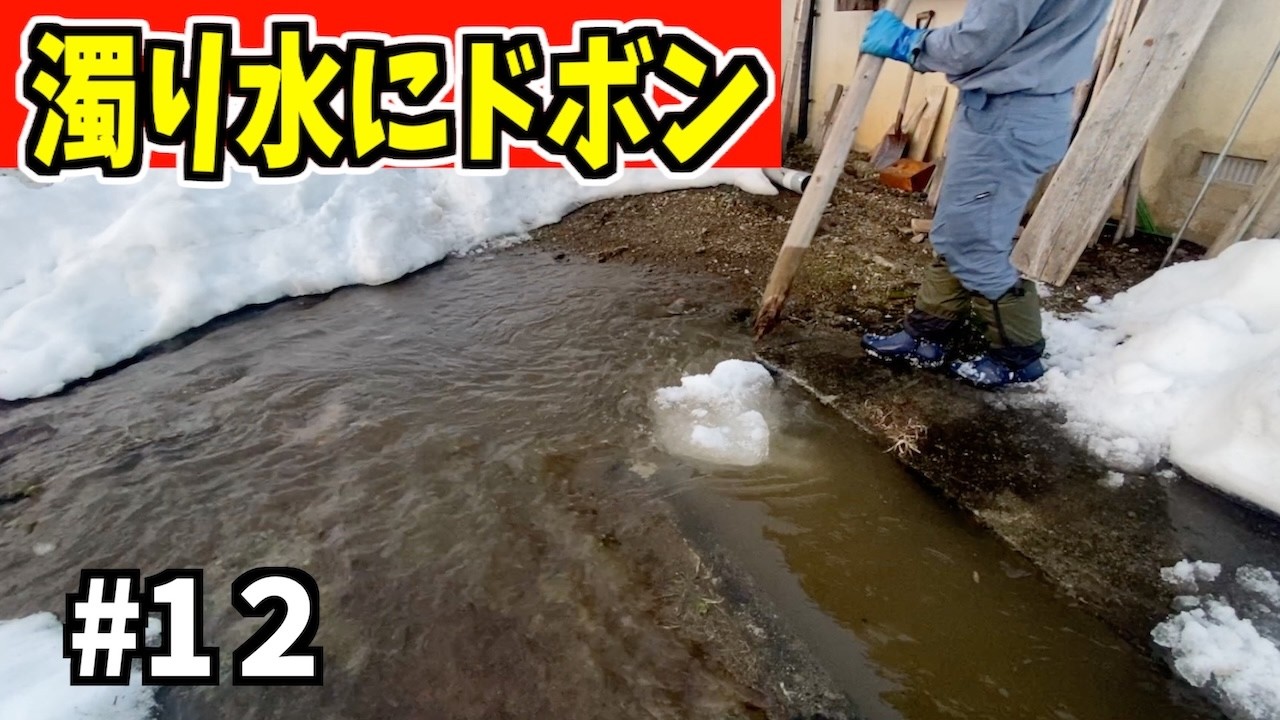 【ドボン】2025-03-25（火）濁り水に雪を入れる！武七の除雪・雪かき日記　snow removal ASMR
