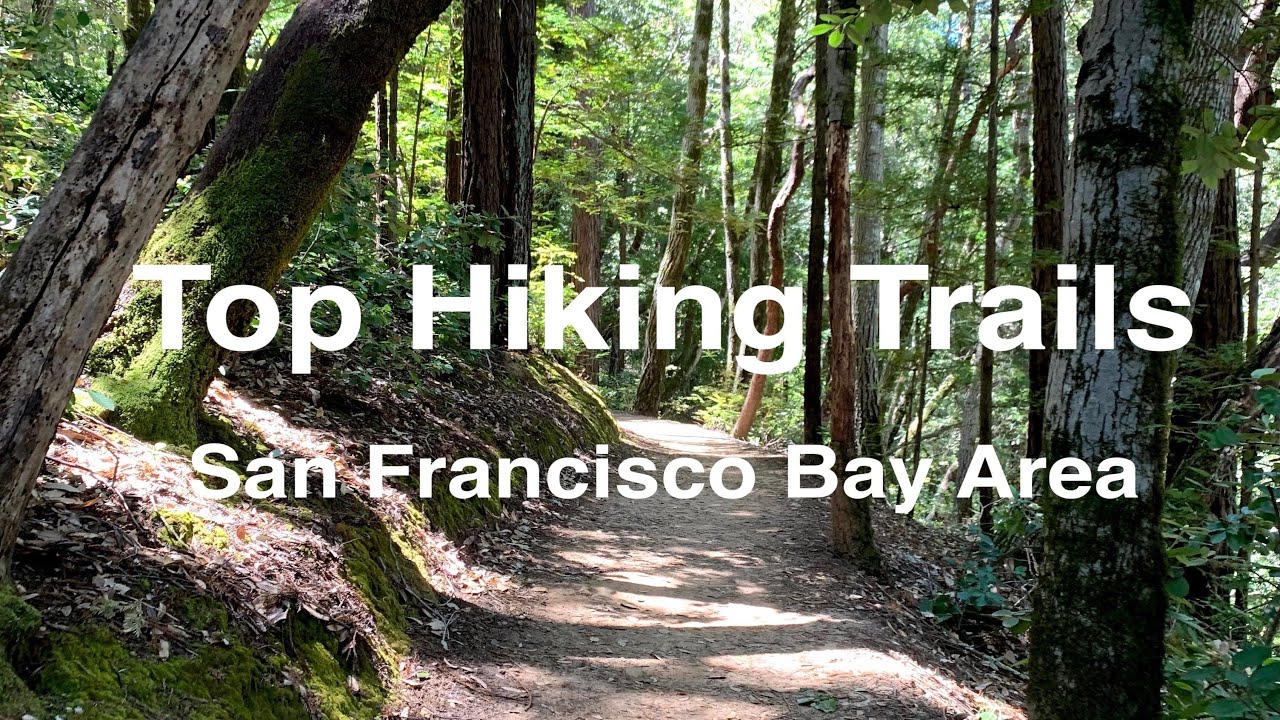 Top 10 Hiking Trails in San Francisco Bay Area YouTube