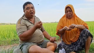 Menikmati suasana Disawah ‼️ Berdua bapak dan emak