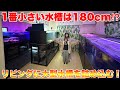 【お宅訪問】一番小さい水槽が180cm⁉︎大型水槽だらけのリビング！#アロワナ #アクアリウム #大型魚