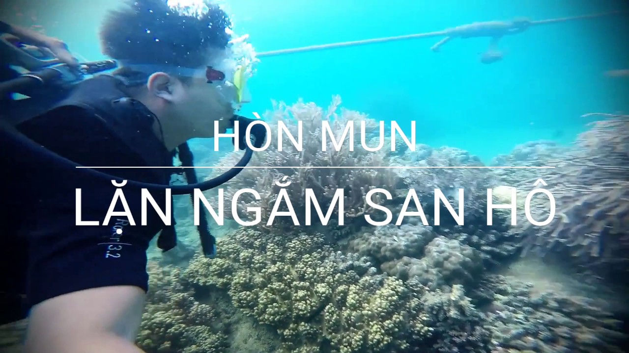 kinh nghiệm lặn biển nha trang  Update New  Tour lặn biển Nha Trang - Ngắm san hô tại khu bảo tồn Hòn Mun
