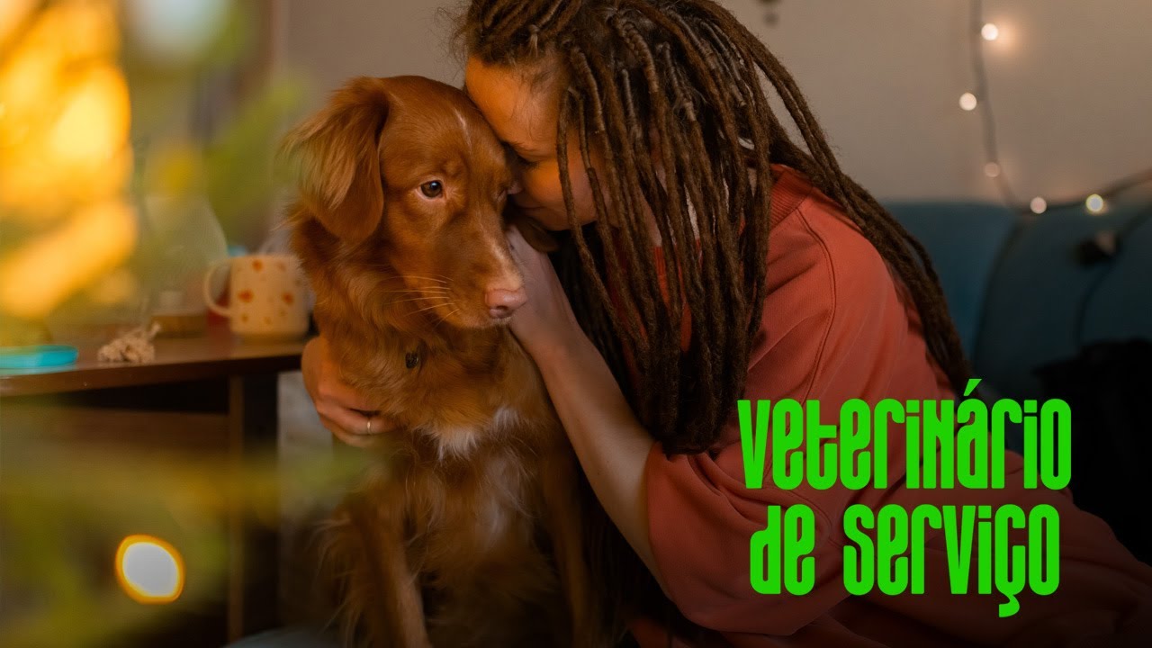 O seu cão sofre de ansiedade?