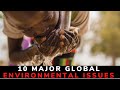 Top 10 major global environmental issues in the world  list of global environmental problems 2021