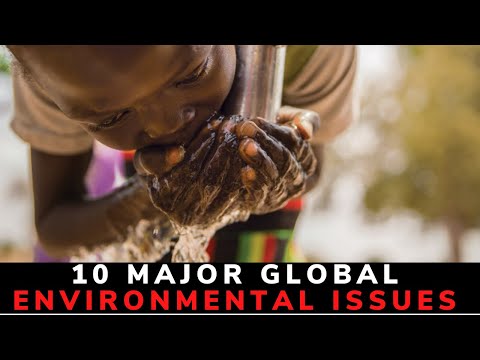 Video: Ecological problems of the planet. Global environmental problems of the planet: examples