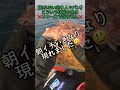 ❌こういう魚はリリースできません❌