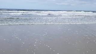 Ocean Waves Calling Calming Meditative Music
