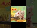 【スペシャルドラマ『猫侍 玉之丞 江戸へ行く』主題歌】我が道よ2016(林広太朗)