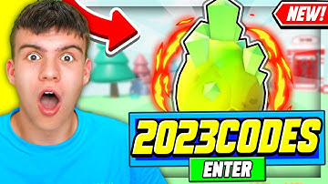 *NEW* ALL WORKING CODES FOR FLY RACE 2023! ROBLOX FLY RACE CODES