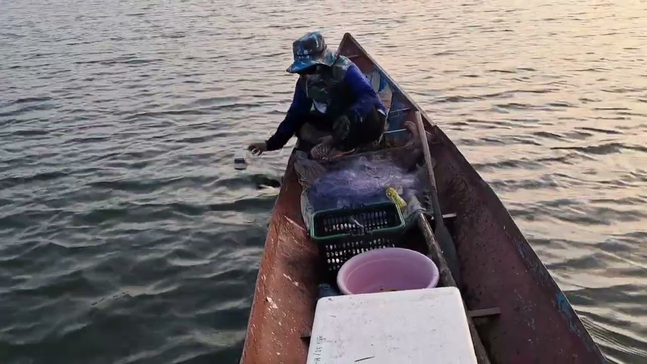 3 มีนาคม ค.ศ. 2026