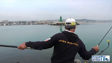 Cosa serve per pescare in mare da riva?