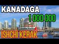 Kanadaga 1 000 000 Ishchi Kerak | Тезкор Янгилик