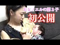 【初公開】長女ノエルの第２子を遂にお披露目！家族みんなでお祝いパーティー！