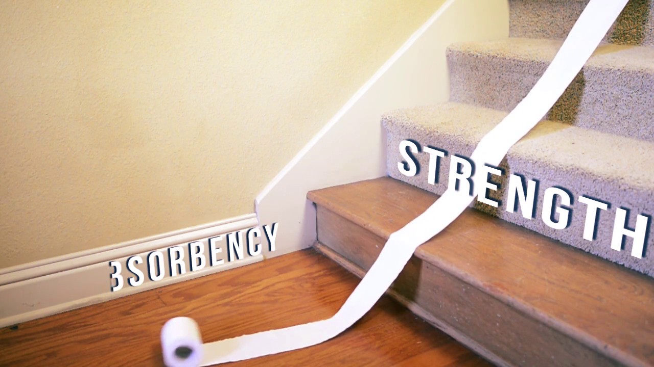 White Cloud Toilet Paper YouTube