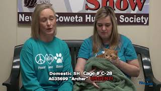 AdoptAPet Show 20180212