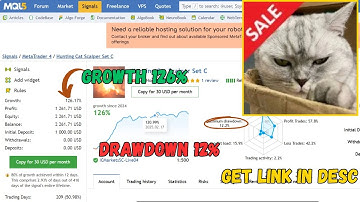 Hunting Cat Scalper 3.0 MT4 EA + Set Files | Fast No-DLL Scalping Bot