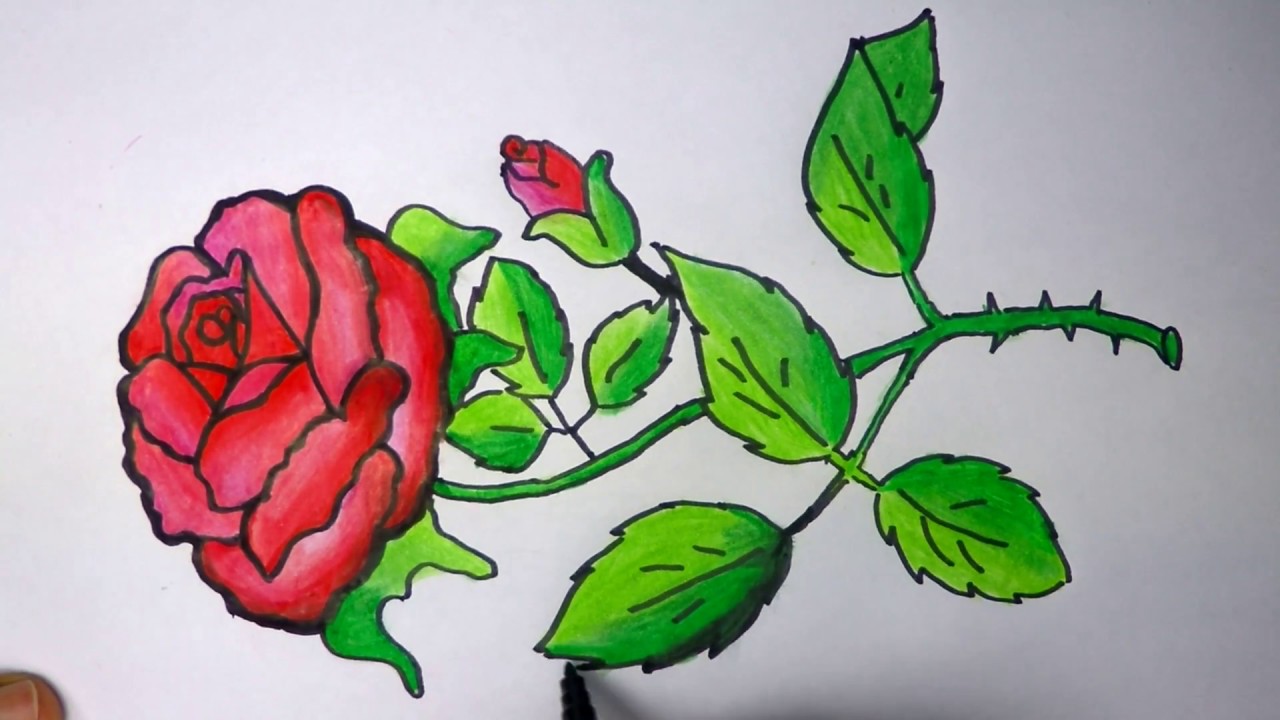 Como dibujar una rosa bonito y facil - thptnganamst.edu.vn