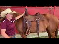 Good Horse! How to Properly Fit a Western Saddle