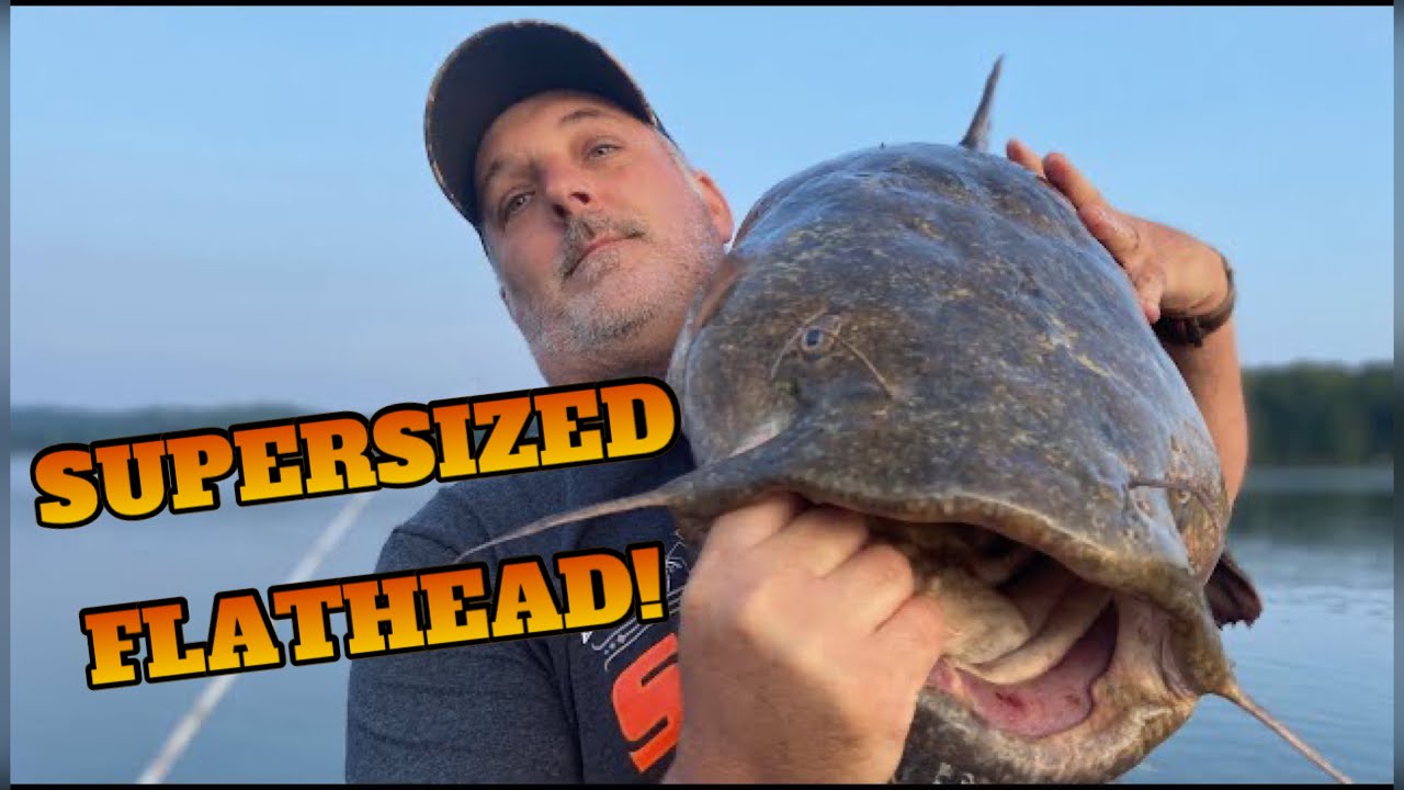 70Lb GIANT Flathead Catfish; Watts Bar LakeTennessee River Monsters
