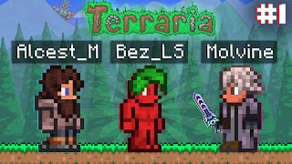 :  ,     TERRARIA   | #1