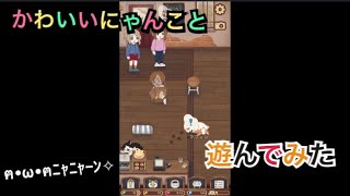 【 ファリスタズ】かわいいにゃんこと遊んでみた☺️【 Cat Cafe】 screenshot 1