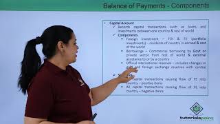 Class 12th – Balance of Payments | Economics | Tutorials Point screenshot 5