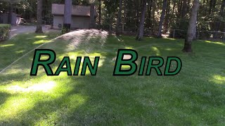 Rain Bird 5000 Plus Series Sprinkler Heads(Easy replacement)