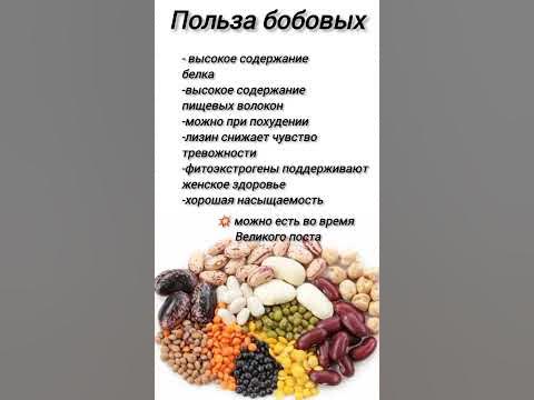 польза бобов #еда #шортс #худеембездиет #продвижение - YouTube