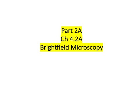 02 BIOL4610 Ch 4.2A